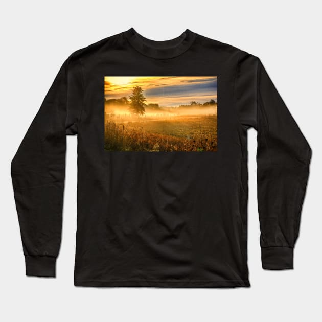 Morning Mist Over Country Road Long Sleeve T-Shirt by Robert Alsop